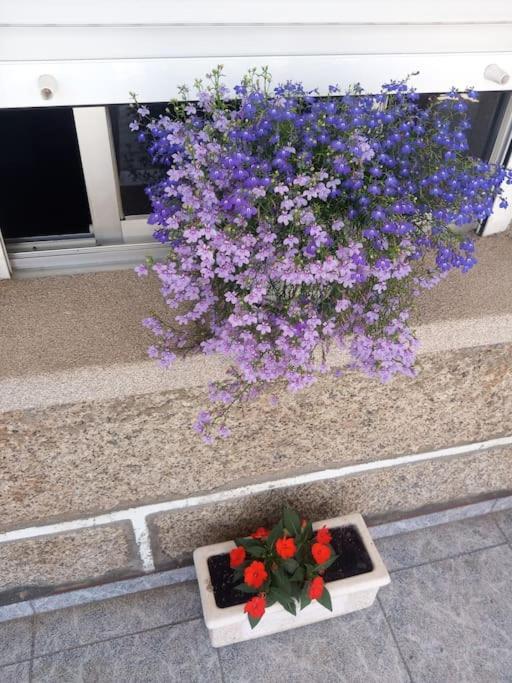 Precioso Apartamento En San Vicente De O Grove San Vicente do Grove Exteriér fotografie